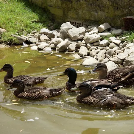 Charmante Escape In Todi
